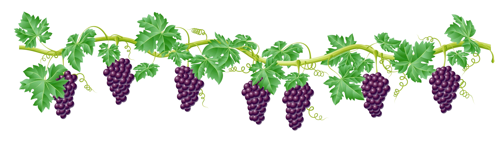 blog grapevine blog