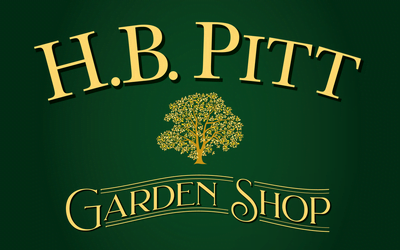 H B Pitt  of Trowbridge to return