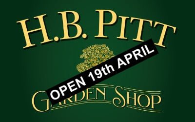 H. B. Pitt Opens 19th April