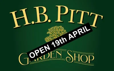 H. B. Pitt Opens 19th April